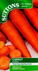 Carrot St Valery Seeds